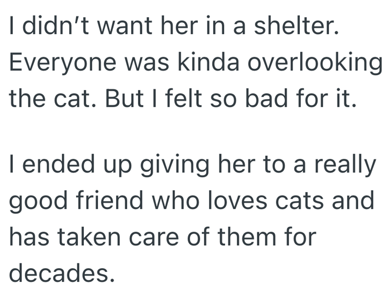I didn't want her in a shelter. Everyone was kinda overlooking the cat. But I felt so bad for it. I ended up giving her to a really good friend who loves cats and has taken care of them for decades.