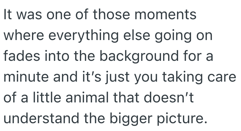It was one of those moments where everything else going on fades into the background for a minute and it's just you taking care of a little animal that doesn't understand the bigger picture.