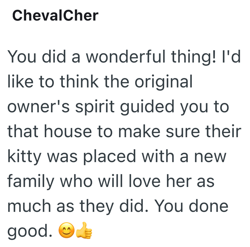 ChevalCher You did a wonderful thing! I'd like to think the original owner's spirit guided you to that house to make sure their kitty was placed with a new family who will love her as much as they did. You done good.
