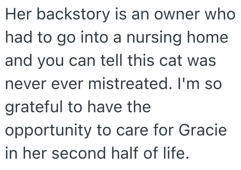 Her backstory is an owner who had to go into a nursing home and you can tell this cat was never ever mistreated. I'm so grateful to have the opportunity to care for Gracie in her second half of life.
