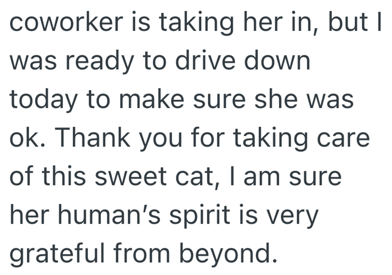 coworker is taking her in, but I was ready to drive down today to make sure she was ok. Thank you for taking care of this sweet cat, I am sure her human's spirit is very grateful from beyond.