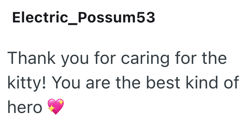 Electric_Possum53 Thank you for caring for the kitty! You are the best kind of hero