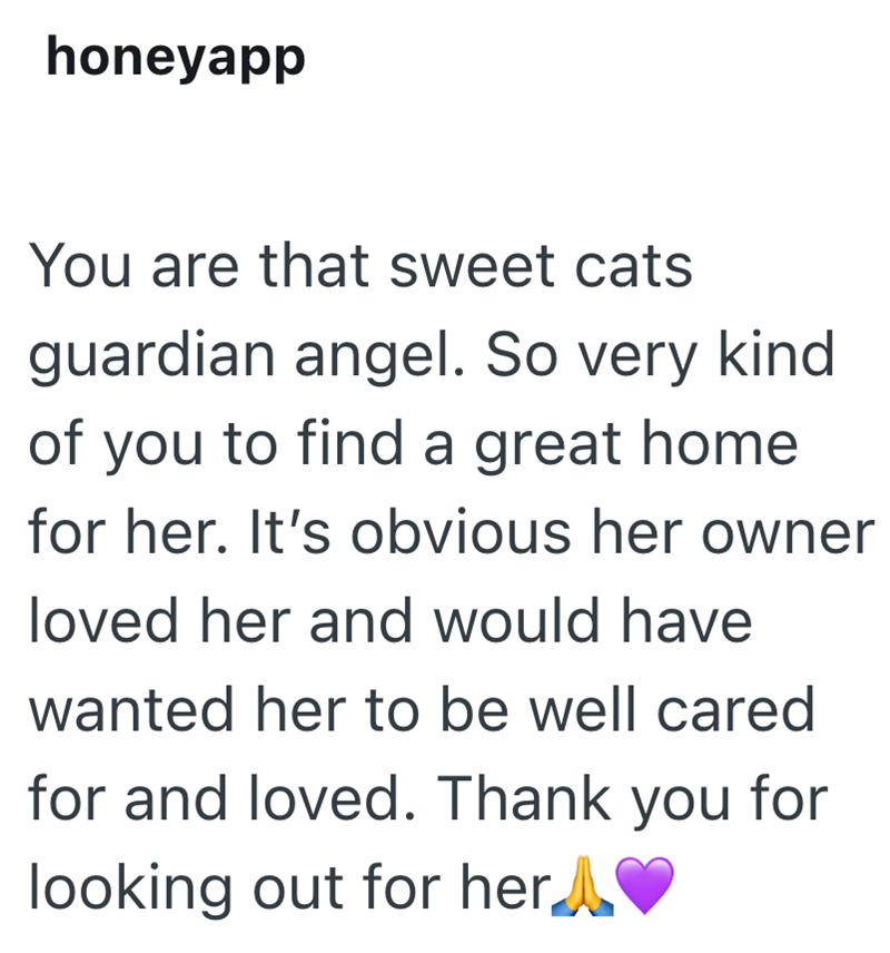 honeyapp You are that sweet cats guardian angel. So very kind of you to find a great home for her. It's obvious her owner loved her and would have wanted her to be well cared for and loved. Thank you for looking out for her