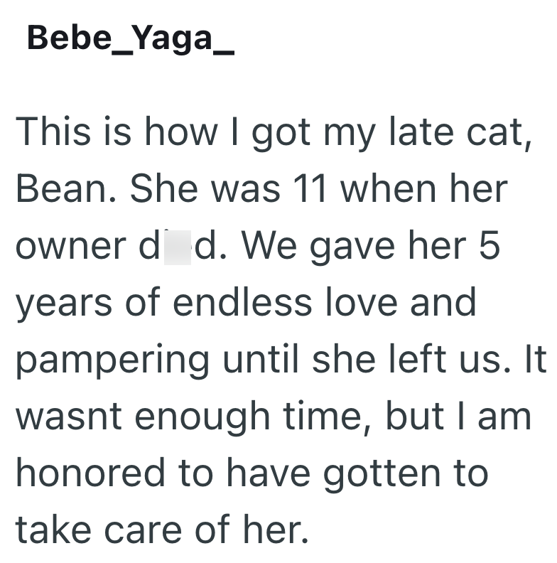 Bebe_Yaga_ This is how I got my late cat, Bean. She was 11 when her owner d d. We gave her 5 years of endless love and pampering until she left us. It wasnt enough time, but I am honored to have gotten to take care of her.