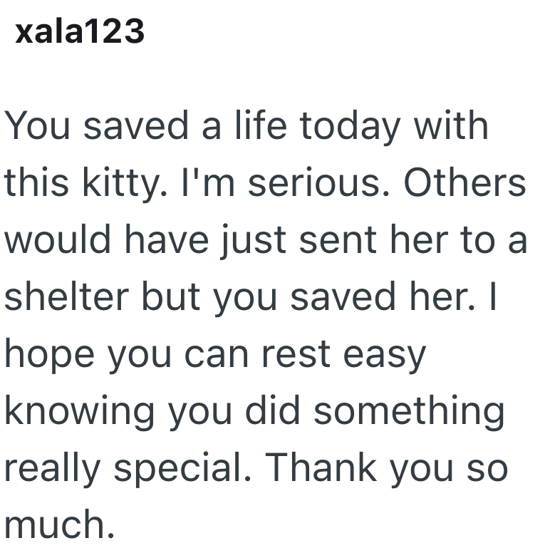 xala123 You saved a life today with this kitty. I'm serious. Others would have just sent her to a shelter but you saved her. I hope you can rest easy knowing you did something really special. Thank you so much.