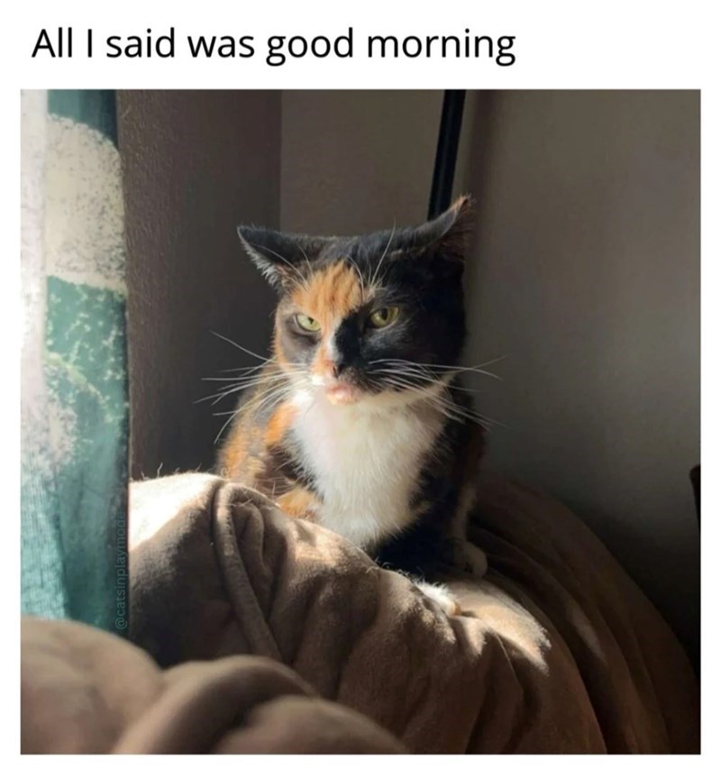 All I said was good morning