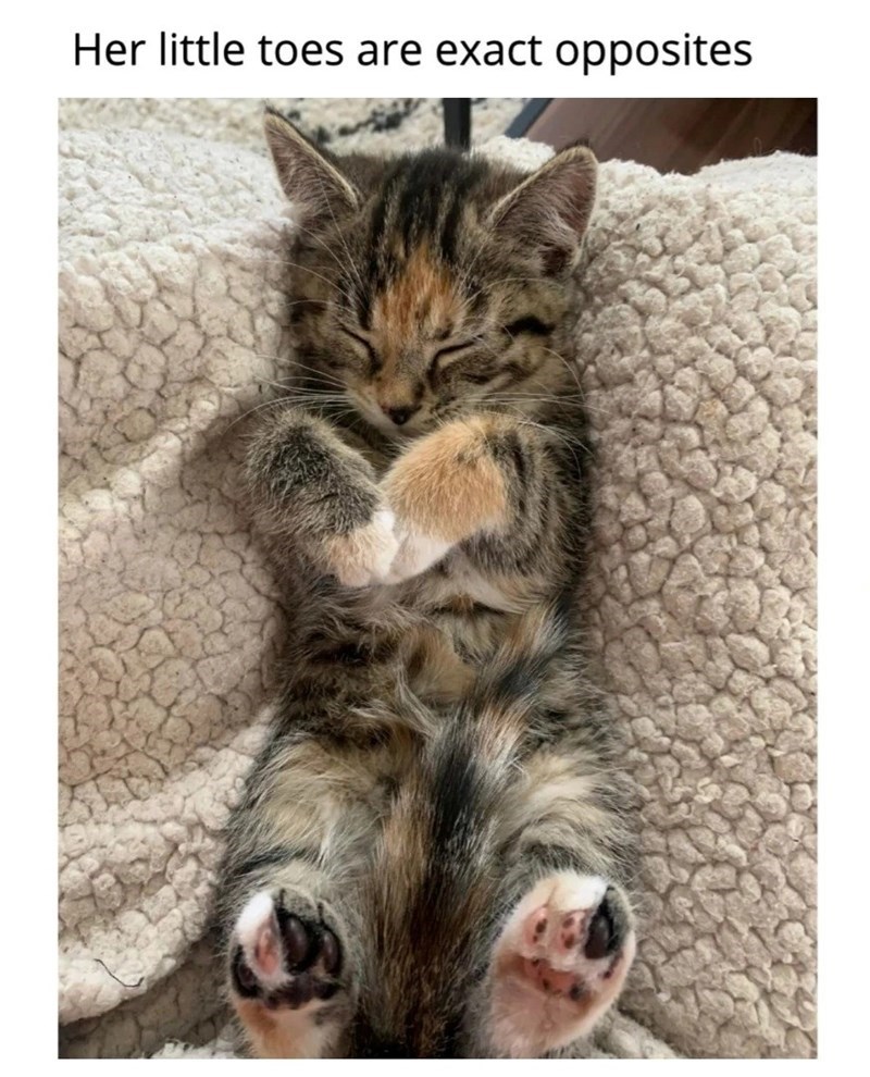 Her little toes are exact opposites