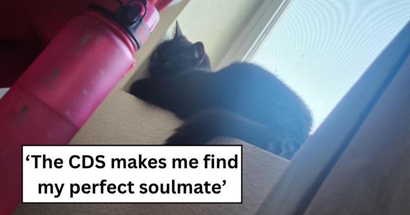 'The CDS makes me find my perfect soulmate'
