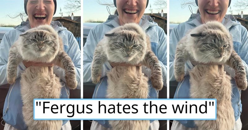 easi Chessi "Fergus hates the wind"