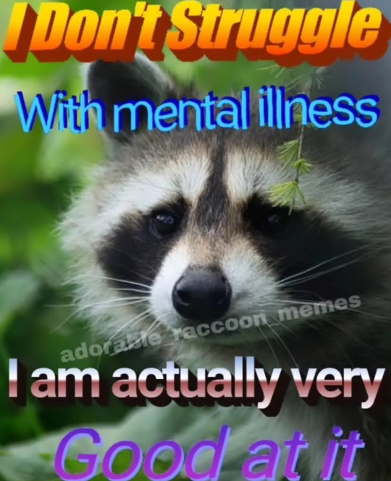 Don't Struggle With mental illness adorable raccoon memes I am actually very Good at it