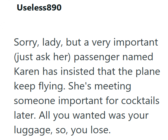 Useless890 Sorry, lady, but a very important (just ask her) passenger named Karen has insisted that the plane keep flying. She's meeting someone important for cocktails later. All you wanted was your luggage, so, you lose.