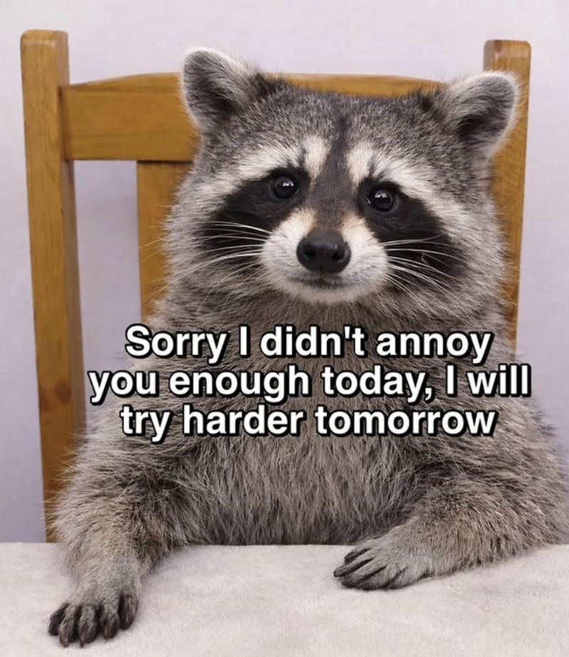 Sorry I didn't annoy you enough today, I will try harder tomorrow