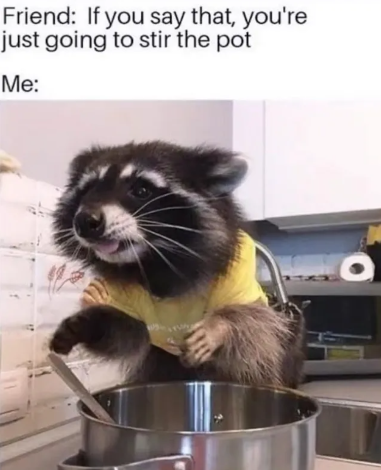 Friend: If you say that, you're just going to stir the pot Me: O