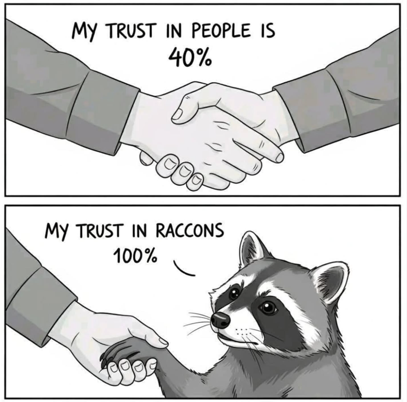 MY TRUST IN PEOPLE IS 40% MY TRUST IN RACCONS 100%