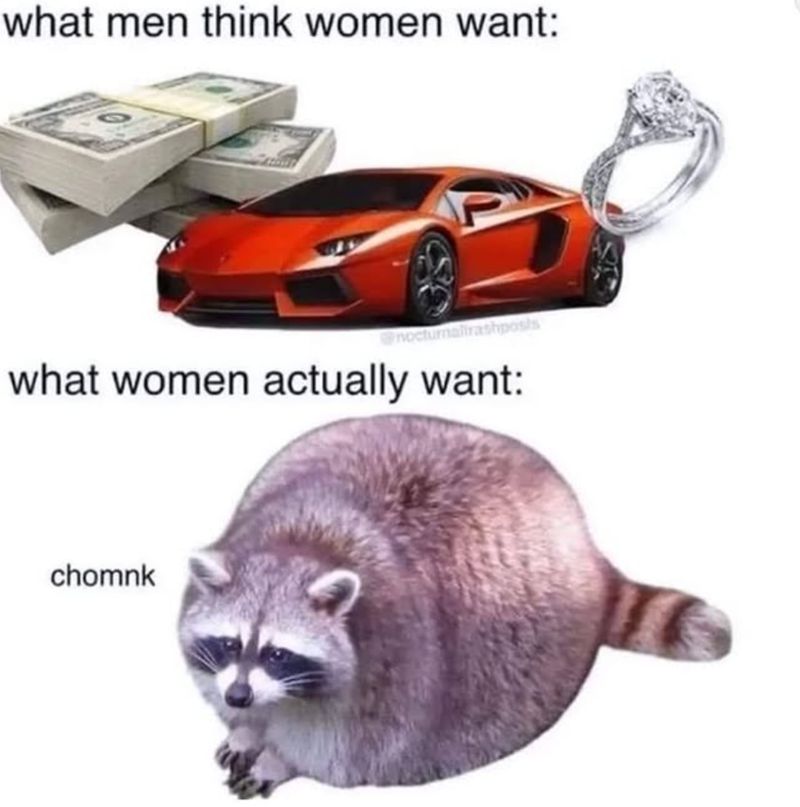 what men think women want: nocturnaltrashposts what women actually want: chomnk