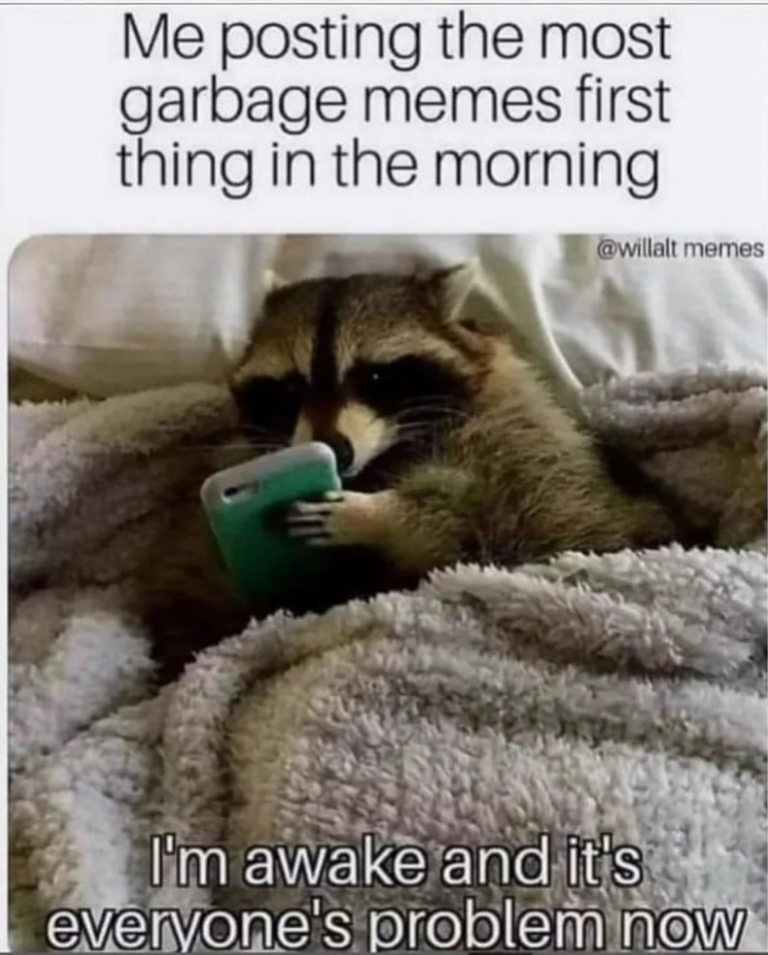 Me posting the most garbage memes first thing in the morning @willalt memes I'm awake and it's everyone's problem now