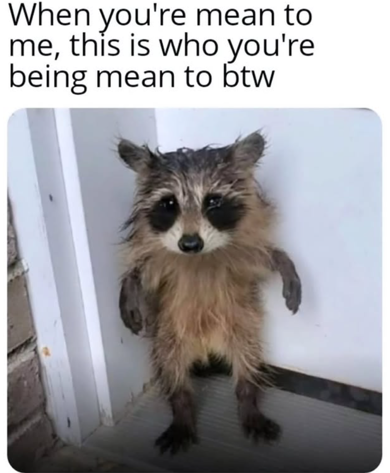 When you're mean to me, this is who you're being mean to btw