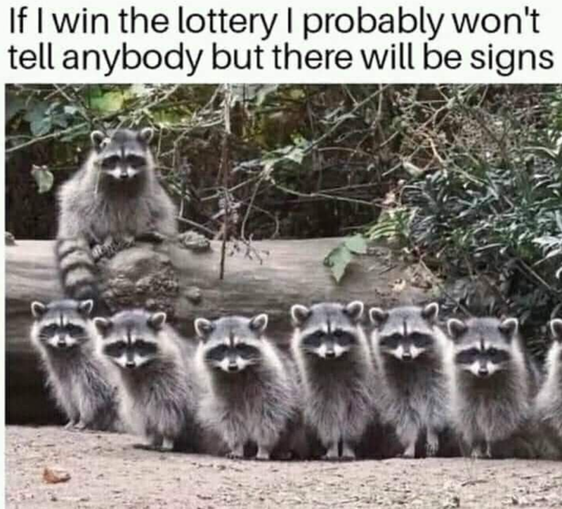 If I win the lottery I probably won't tell anybody but there will be signs