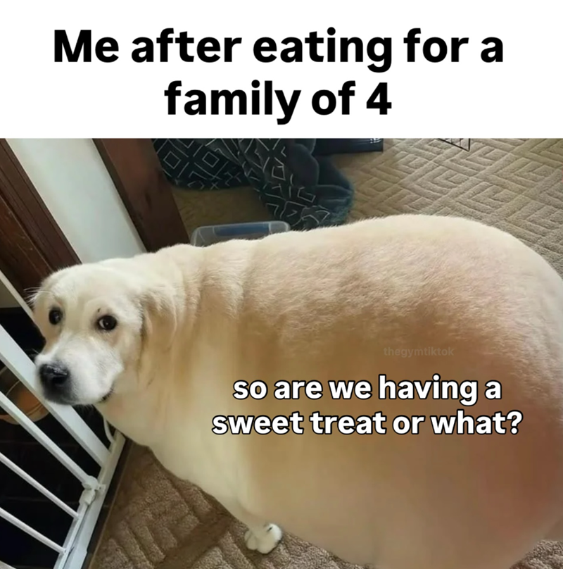 Me after eating for a family of 4 thegymtiktok so are we having a sweet treat or what?