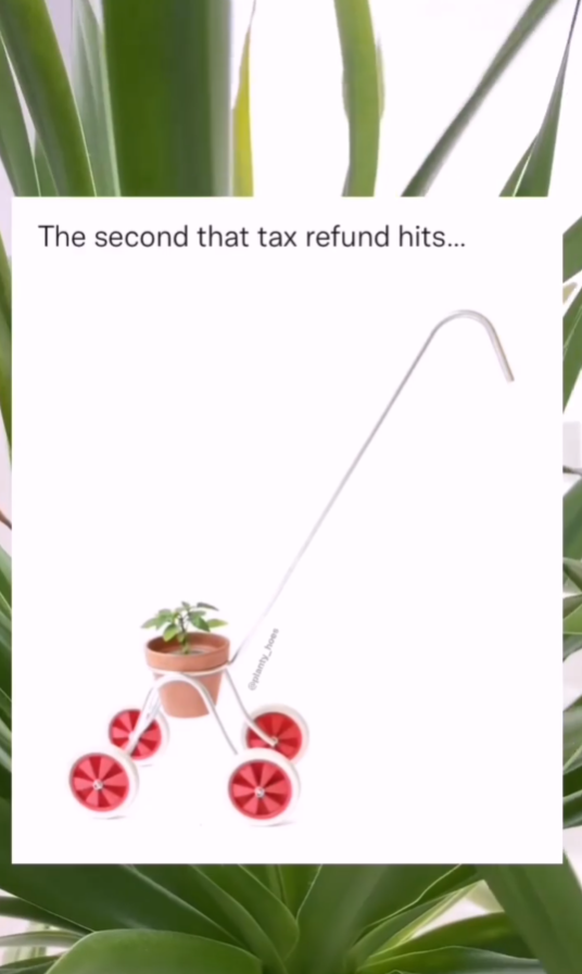 @planty hoes The second that tax refund hits...