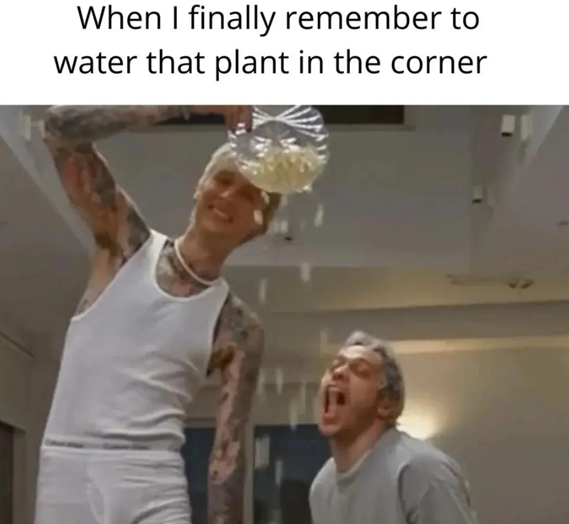 When I finally remember to water that plant in the corner