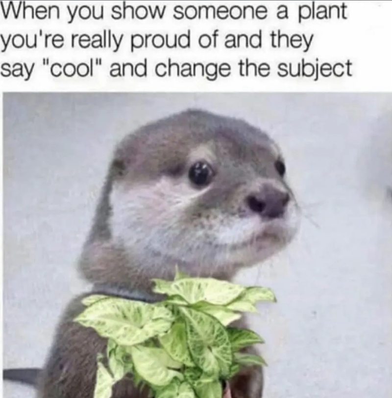 When you show someone a plant you're really proud of and they say "cool" and change the subject