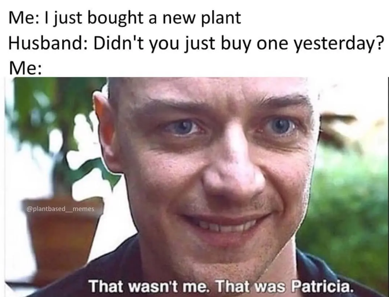 Me: I just bought a new plant Husband: Didn't you just buy one yesterday? Me: @plantbased_memes That wasn't me. That was Patricia.
