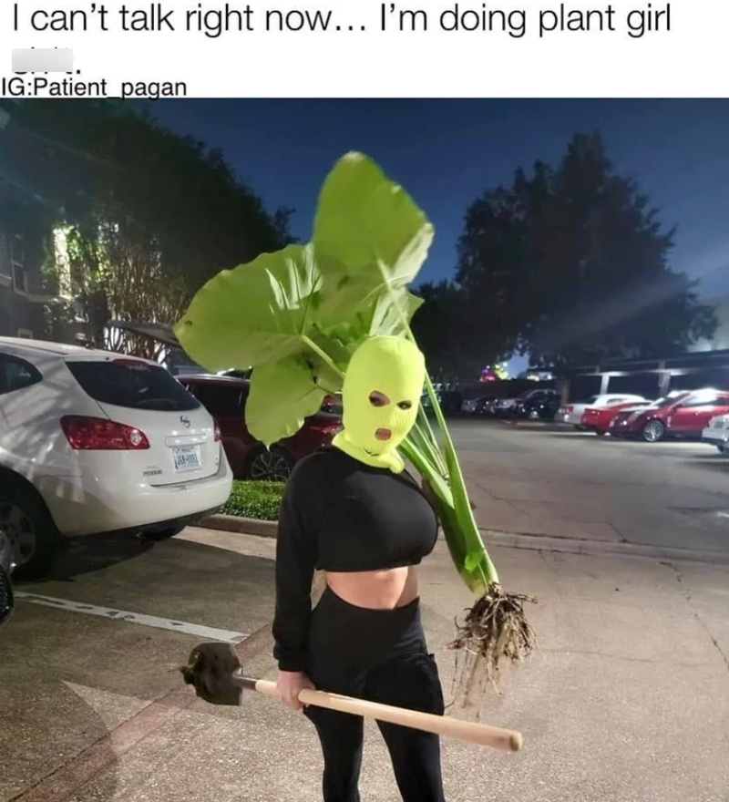 I can't talk right now... I'm doing plant girl IG:Patient pagan