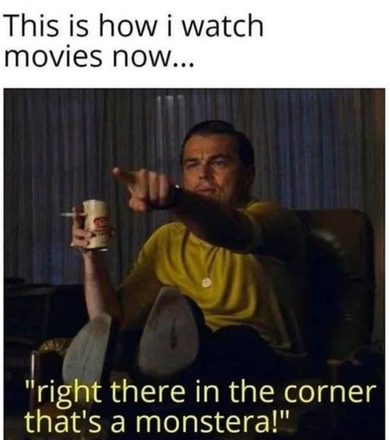 This is how i watch movies now... "right there in the corner that's a monstera!"