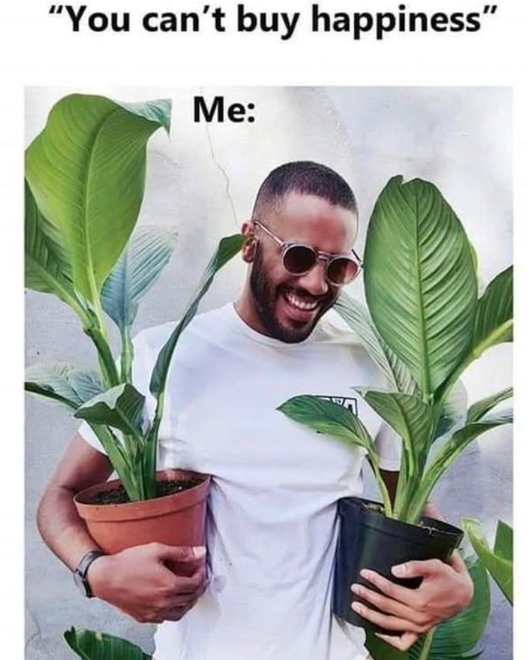 "You can't buy happiness" Me: