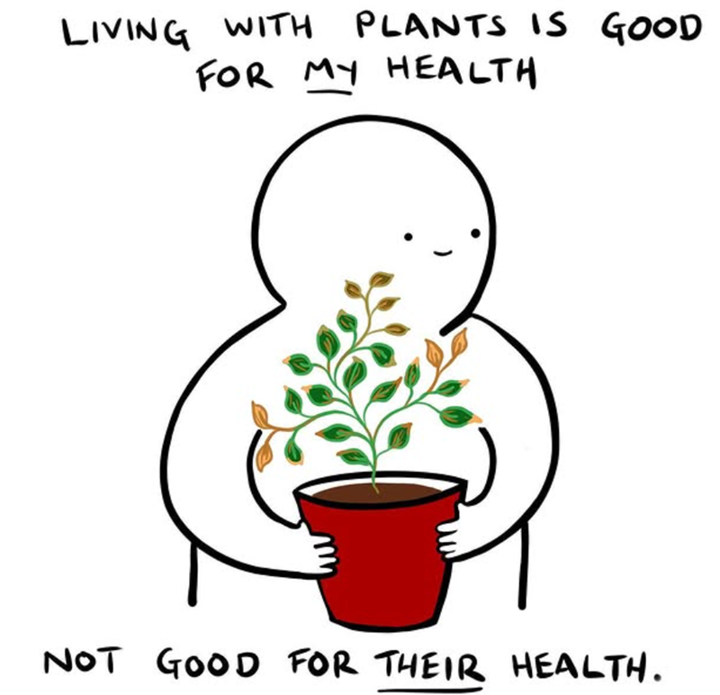 LIVING WITH PLANTS IS GOOD FOR MY HEALTH NOT GOOD FOR THEIR HEALTH.