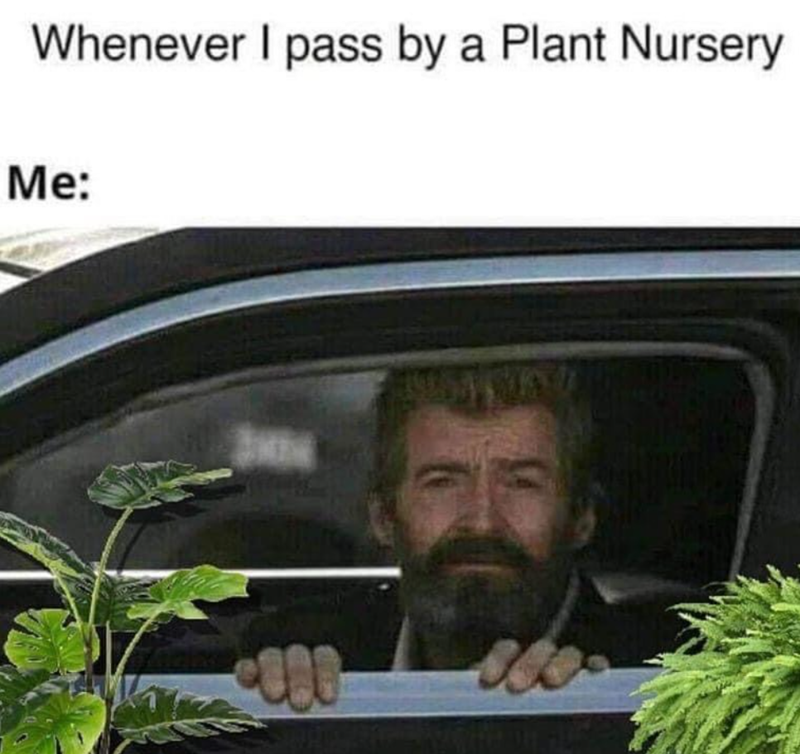 Whenever I pass by a Plant Nursery Me:
