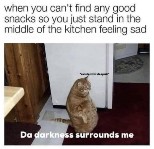 when you can't find any good snacks so you just stand in the middle of the kitchen feeling sad "existential despair Da darkness surrounds me