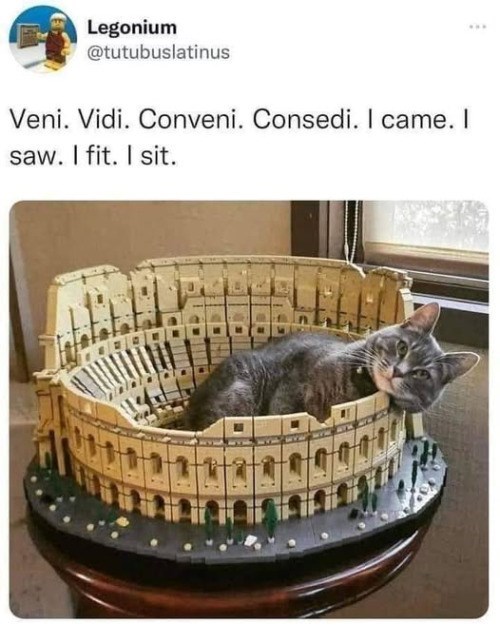 Legonium @tutubuslatinus Veni. Vidi. Conveni. Consedi. I came. I saw. I fit. I sit.