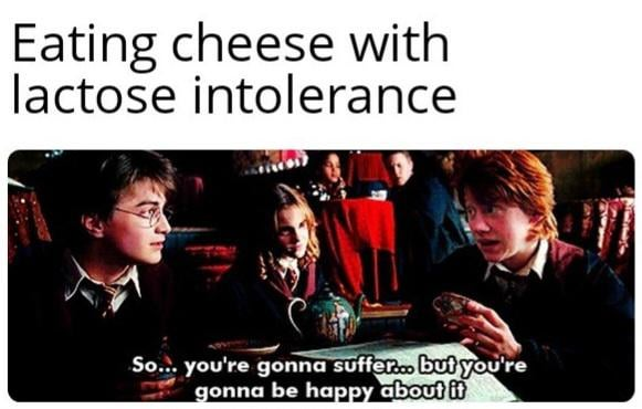 Eating cheese with lactose intolerance So... you're gonna suffer... but you're gonna be happy about it