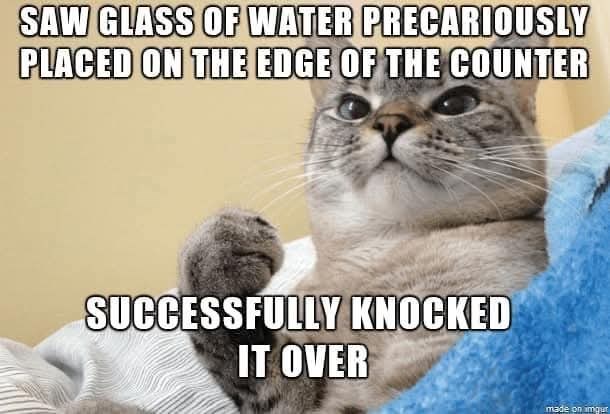 SAW GLASS OF WATER PRECARIOUSLY PLACED ON THE EDGE OF THE COUNTER SUCCESSFULLY KNOCKED IT OVER made on imgur