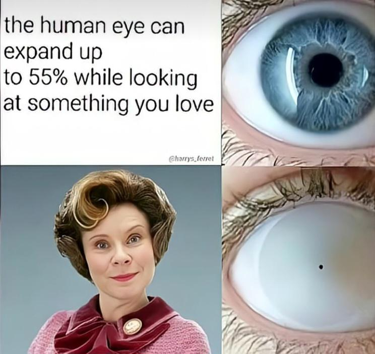 the human eye can expand up to 55% while looking at something you love @harrys ferret