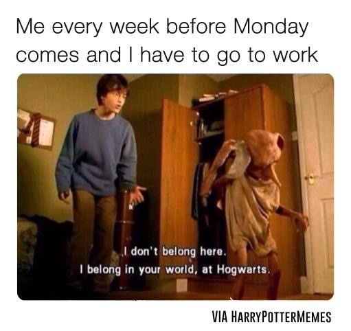 Me every week before Monday comes and I have to go to work I don't belong here. I belong in your world, at Hogwarts. VIA HARRYPOTTERMEMES