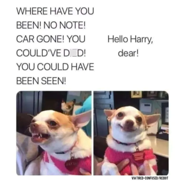 WHERE HAVE YOU BEEN! NO NOTE! CAR GONE! YOU Hello Harry, COULD'VE DID! dear! YOU COULD HAVE BEEN SEEN! VIA TIRED-CONFUSED/REDDIT