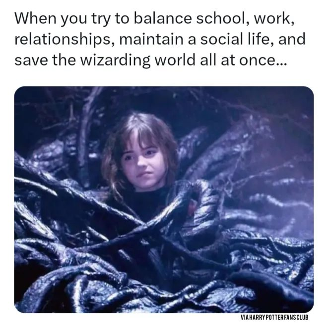 When you try to balance school, work, relationships, maintain a social life, and save the wizarding world all at once... VIA HARRY POTTER FANS CLUB