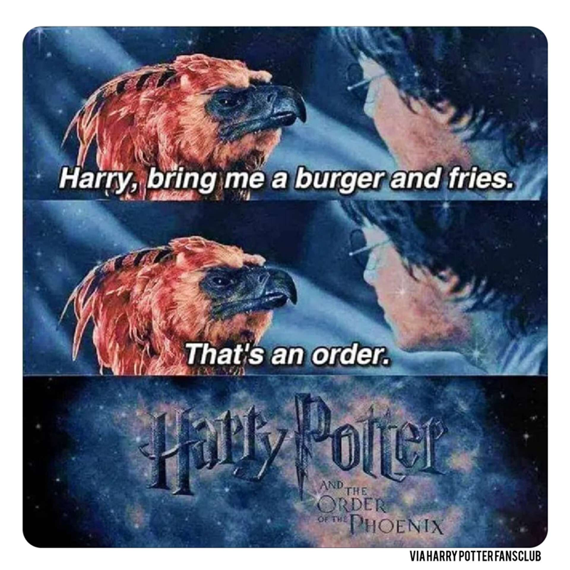 Harry, bring me a burger and fries. That's an order. Holly Poner AND THE ORDER OF THE PHOENIX VIA HARRY POTTER FANSCLUB