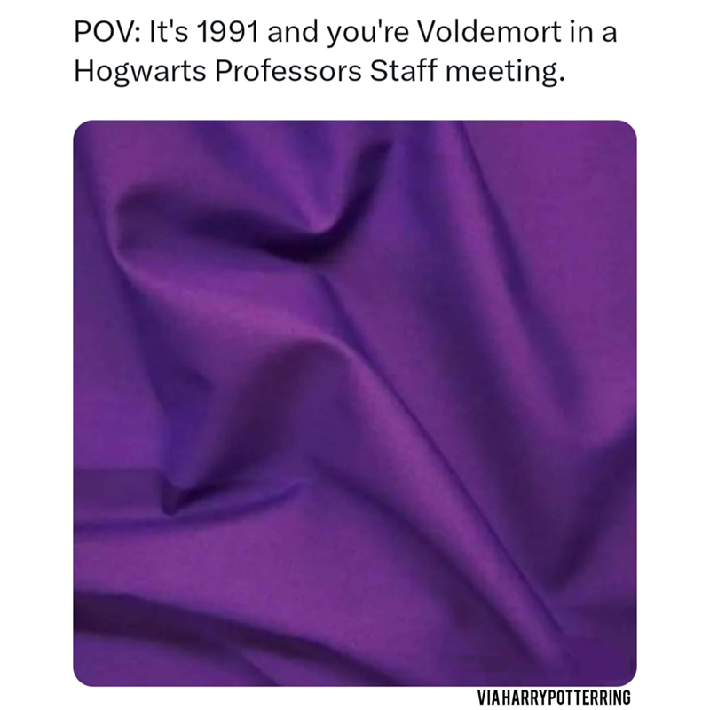 POV: It's 1991 and you're Voldemort in a Hogwarts Professors Staff meeting. VIA HARRYPOTTERRING