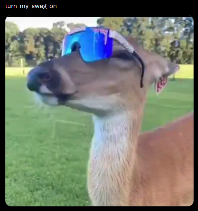 turn my swag on