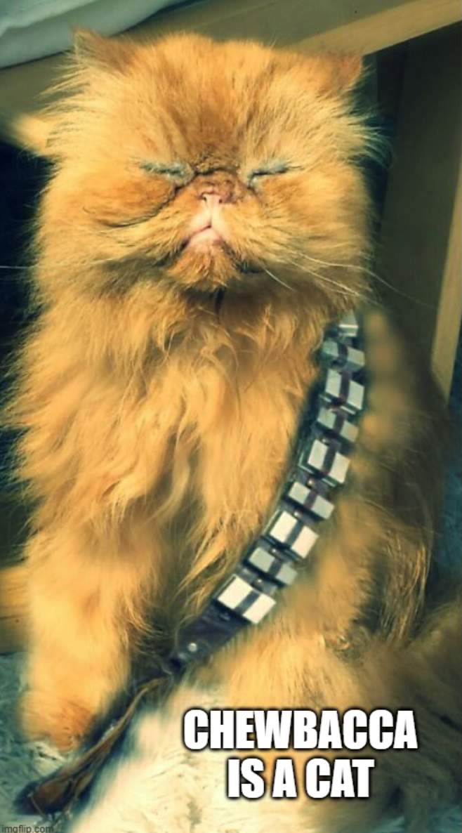 imgflip.com CHEWBACCA IS A CAT