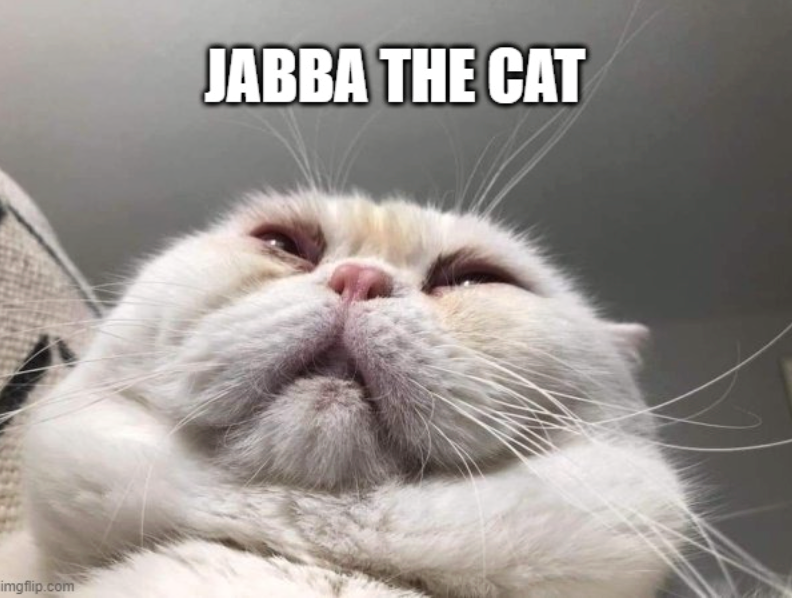 imgflip.com JABBA THE CAT