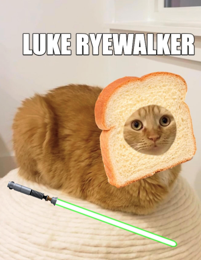 LUKE RYEWALKER