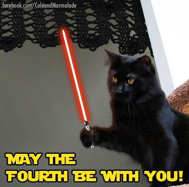 facebook.com/ColeandMarmalade MAY THE FOURTH BE WITH YOU!