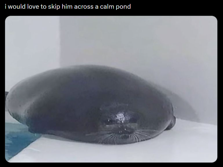 i would love to skip him across a calm pond