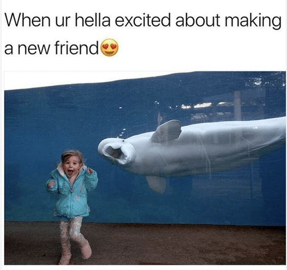 When ur hella excited about making a new friend