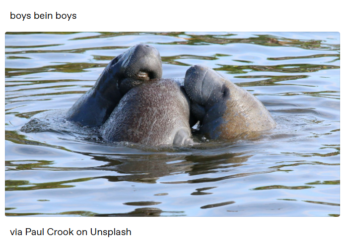 boys bein boys via Paul Crook on Unsplash